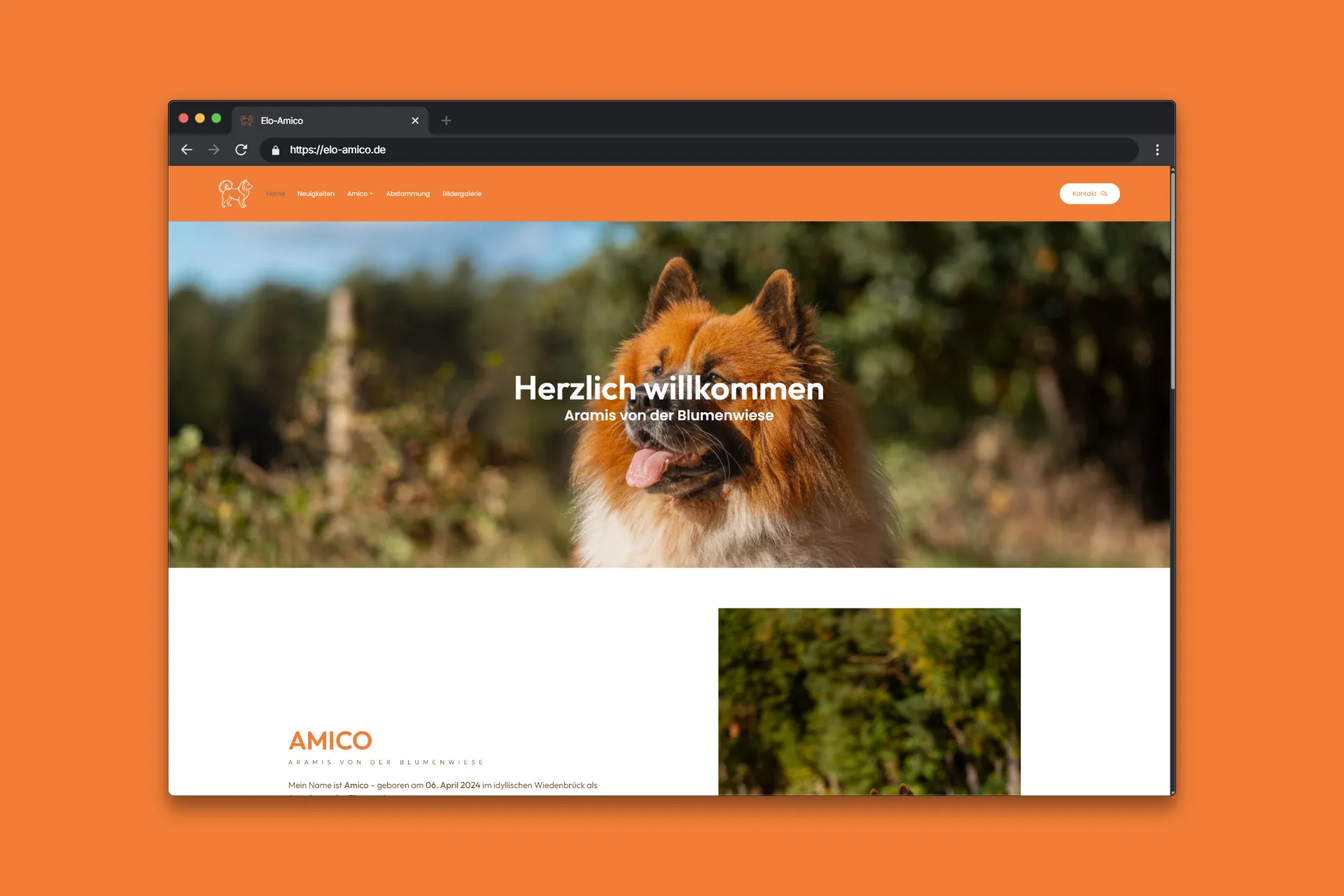 Website elo-amico.deProduct Image