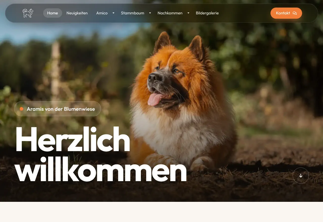 Website elo-amico.de, Startseite: ein großes Foto eines Hundes mit der Begrüßung „Herzlich willkommen“, darunter die Vorstellung des Hundes, Fotos seiner Entwicklung und Kacheln zu den weiteren Seiten
